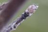 363419 – Photo : Thomas Reverchon – France (21)